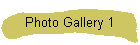 Photo Gallery 1