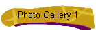Photo Gallery 1